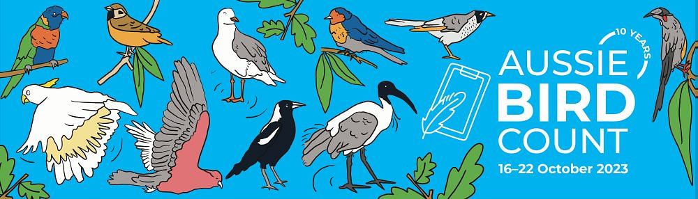 Join the Aussie Bird Count by Birdlife Australia this National Bird Week from 16 - 22 October 2023